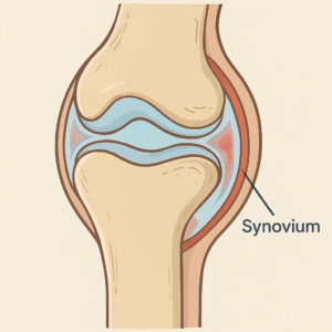 why your knee joints hurt